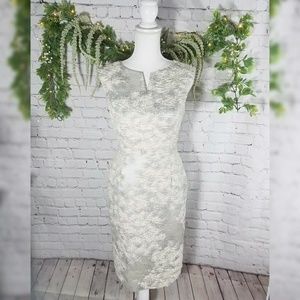 AG Phillips Sleeveless Sheath Dress Size 4